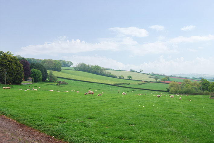 Nichols Nymett Holiday Park
