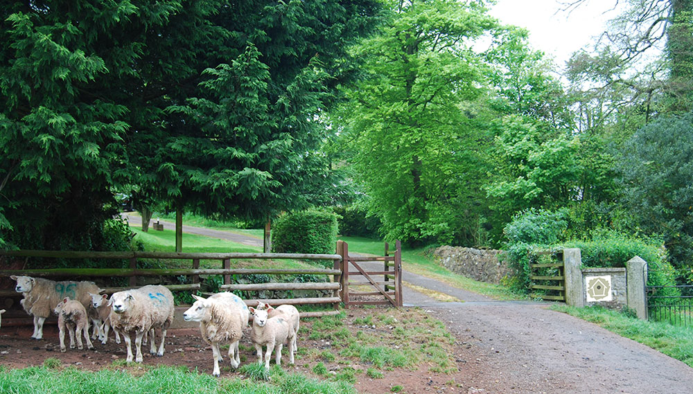 Nichols Nymett Holiday Park